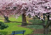 53短视频在线观看