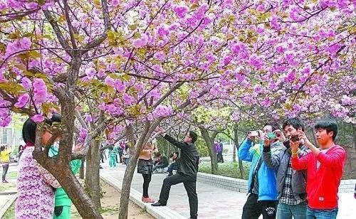 plumpy视频 为了获得最准确的视频信息