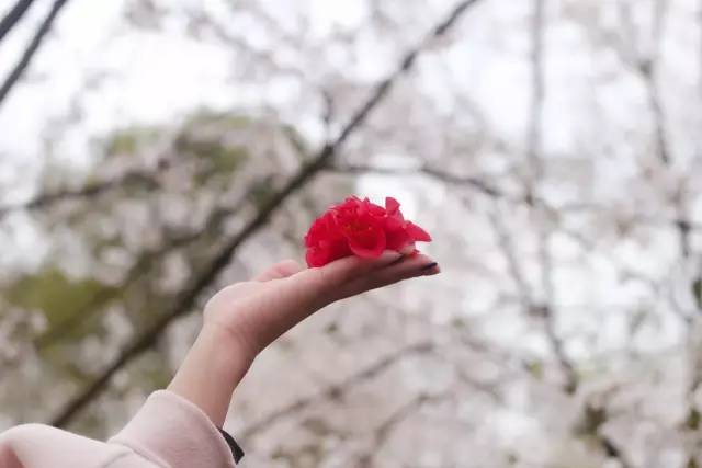 4438全国最大最新地址 全国我非常乐意为你提供帮助