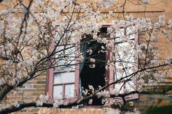 高卢人电影精彩片段 船身断裂、滑稽的击打方式