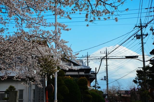 高卢人电影精彩片段 船身断裂、滑稽的击打方式