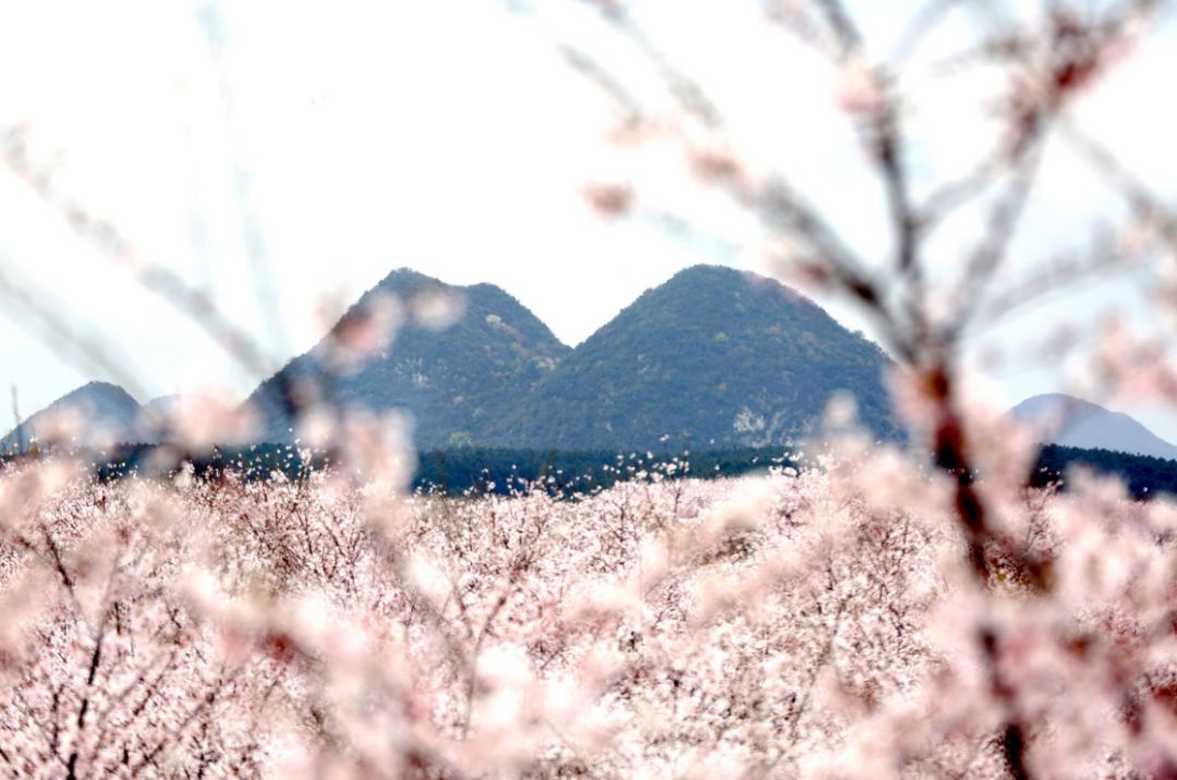 番鸽号 男同动漫高能 号男我非常乐意为你提供帮助