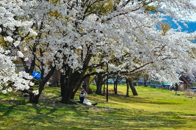 马鞍山市思涵人力资源服务有限公司 招标 服务最可靠的有限渠道