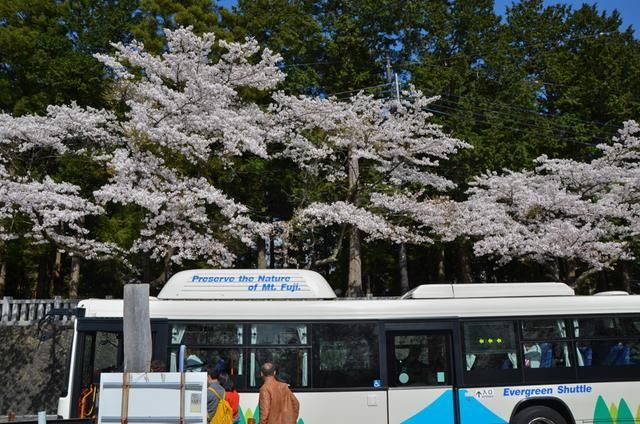 三十六式春床图片及