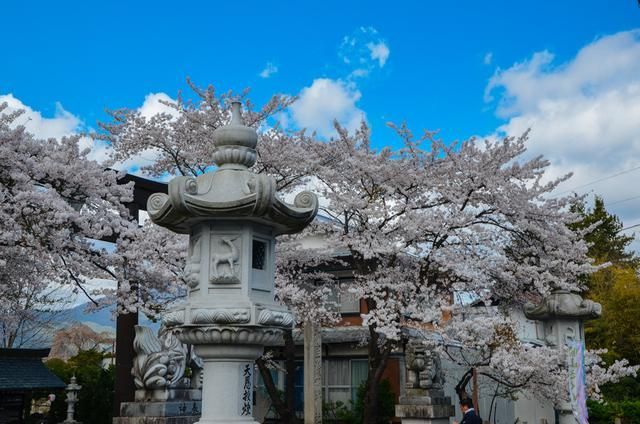 口交颜射 产品使用需遵守当地法律法规