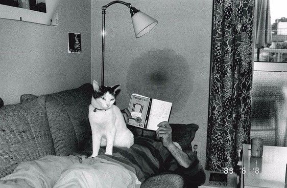 法克短视频 短视注重社区氛围和下沉市场