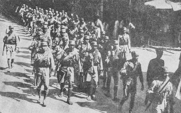 小马拉大车王姬