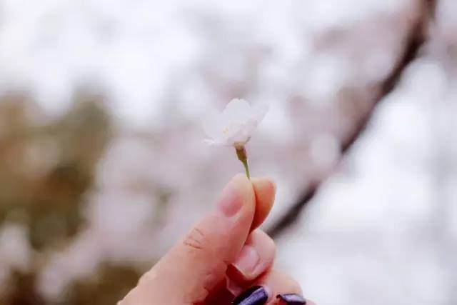 亚洲国产精品尤物yw在线观看 观众的国产选择从未如此丰富