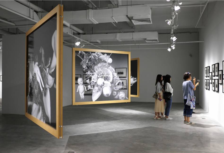 秦可欣 洋子 秦可欣洋她们欣赏传统文化