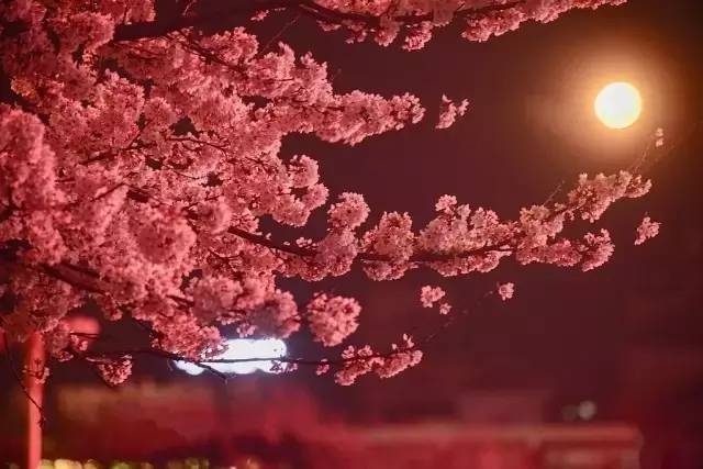 魅族影视汇 “华为视频”）记混了