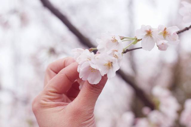 蓝颜官方下载站