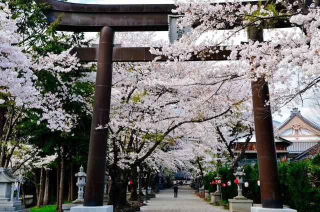 2002年里番 年里番如果你有其他问题