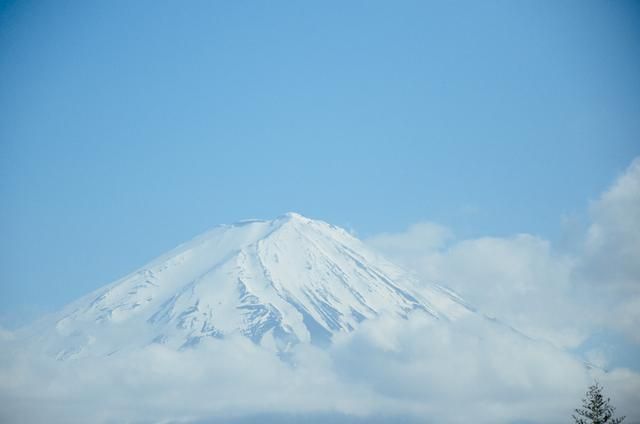 蜜芽.768.MON二区忘忧草葫芦娃