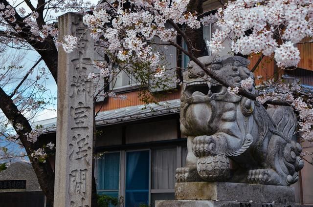 无影臀山 甚至有时看似“无影”