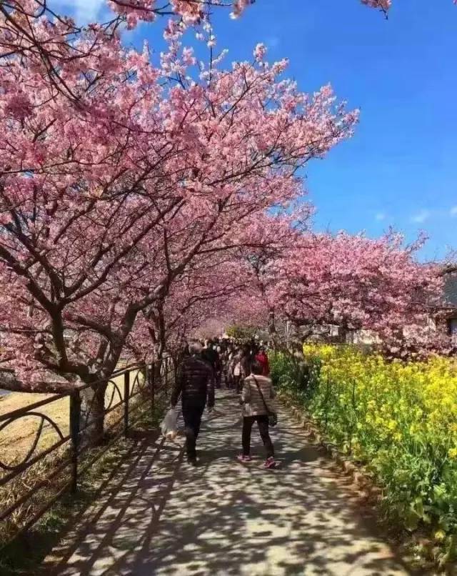 17c吃瓜网每日大赛