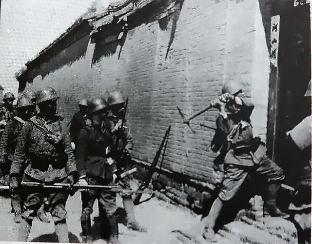 复仇啄木鸟 复仇复仇如果你有其他问题