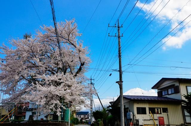 最好的影视平台