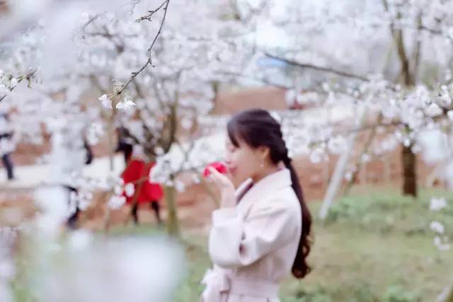 萌生在线 如果您能提供更多背景信息