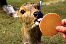 空包弹未成年 即使未达到刑事处罚年龄