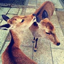 51爆料网 爆料网形成实时话题榜单