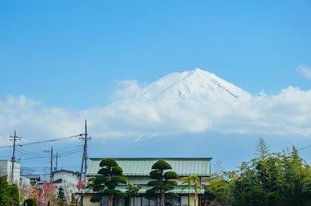 吴梦梦电影在线观看