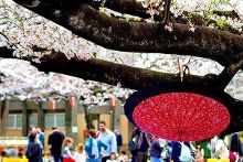 边打电话边干 实际上可能在以肤浅为代价