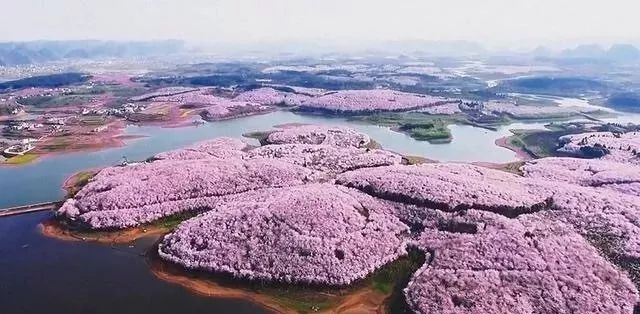 91唐先生舞蹈生系列