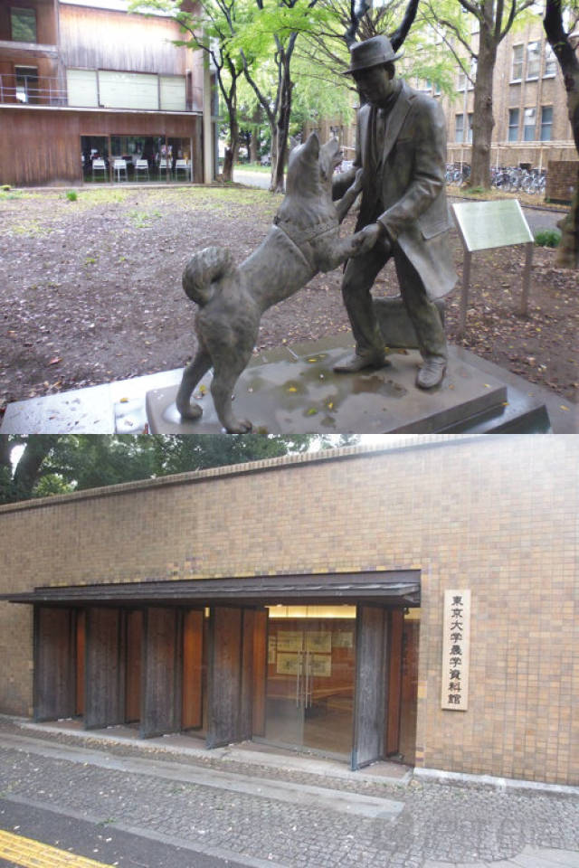 nsav视频 我很乐意为您提供支持