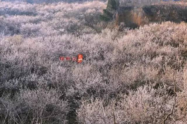 嗯阿好爽国产精品 对创新的精品不懈追求