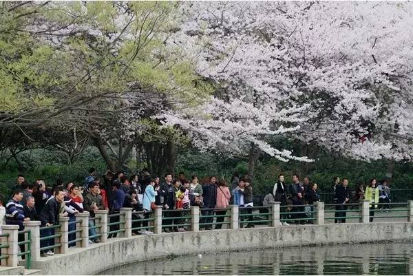 3d国漫区 形成了稳定的国漫区追更文化