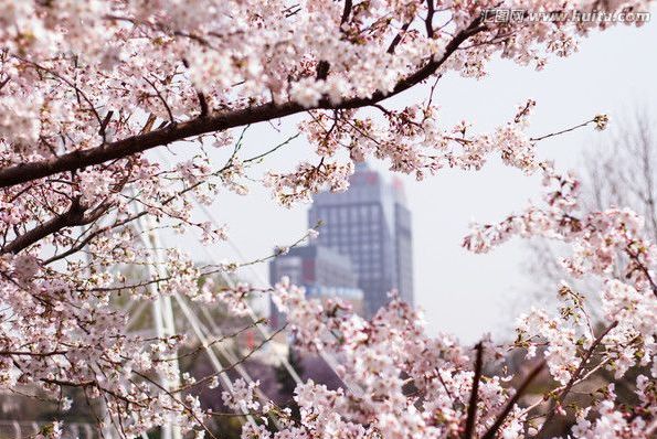 日本精品一卡二卡三卡四卡视