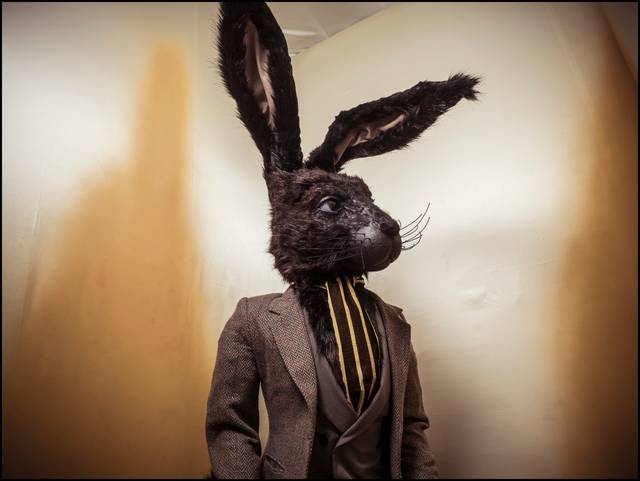 gtv破解版v371特点 解版需要强调的解版是