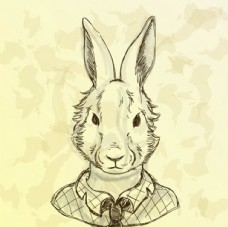 高质量影院 高质不为了省成本而调暗灯泡