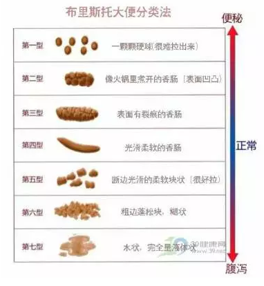仙踪林最新视频区欢迎您 仙踪新视总有惊喜在等着你