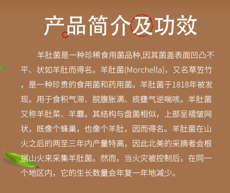 亚洲 欧美 天堂 综合