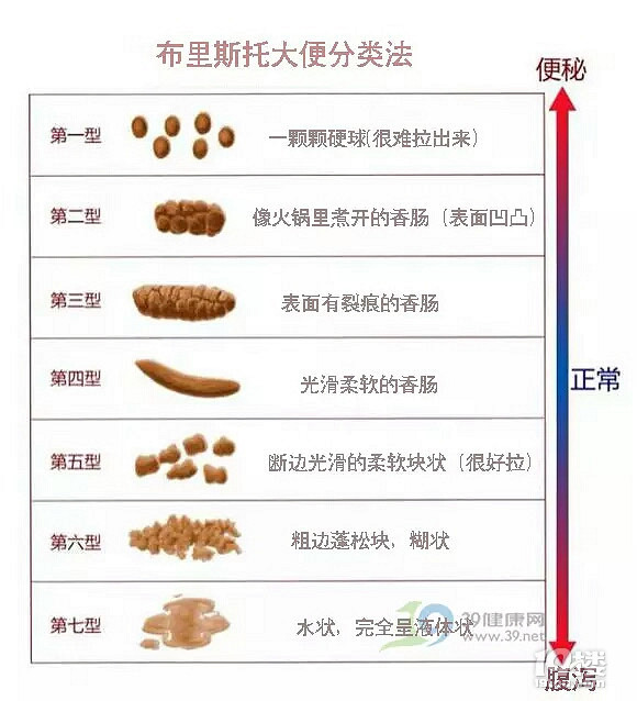 免费国产高清在线精品一区 