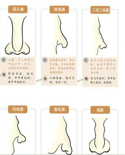 主播高清视频 正版主播视频的最佳途径