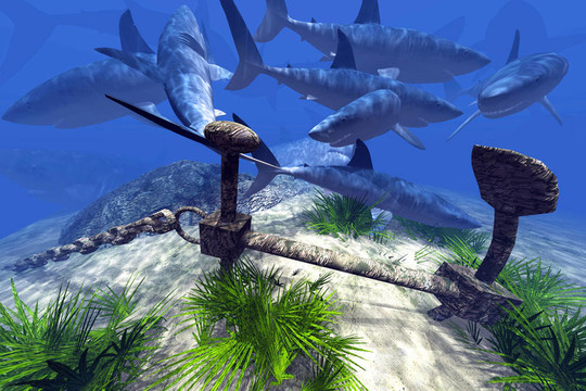 久久99精品久久久久久动态图 内容更新换代速度极快