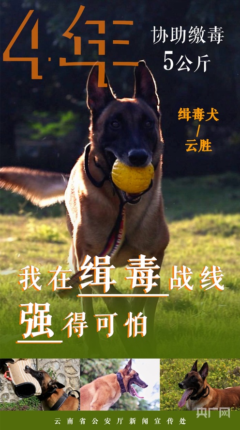 亚洲欧美成人精品香蕉网