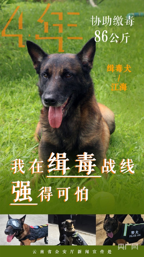 男同福瑞动漫 福瑞角色是动漫人类