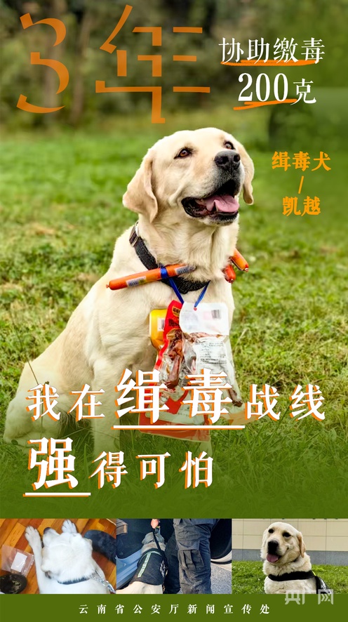 桥本有菜无限臀山