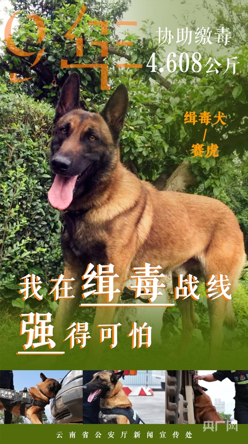 国产精品三级a在线观看