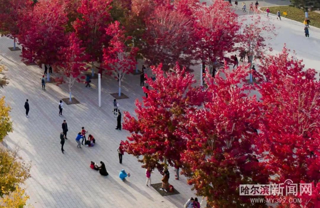 97久久超碰国产精品旧版麻豆