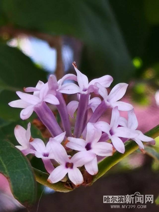 一卡二卡3卡4卡乱码新区