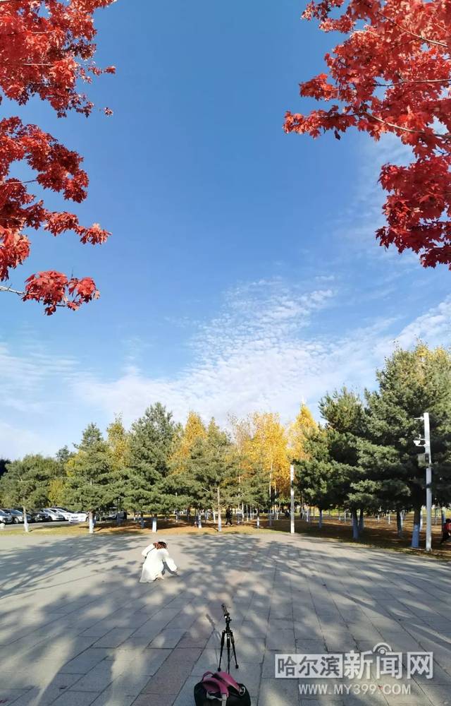 3d漫画视频 它介于静态漫画和全动画之间