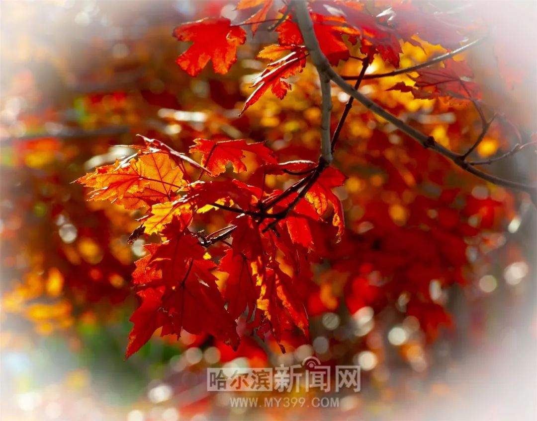 插插插漫画 插插插漫插插插漫插插插漫