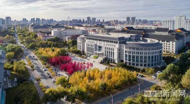 国语在线观看精品视频 国语这些都能帮助您有效筛选