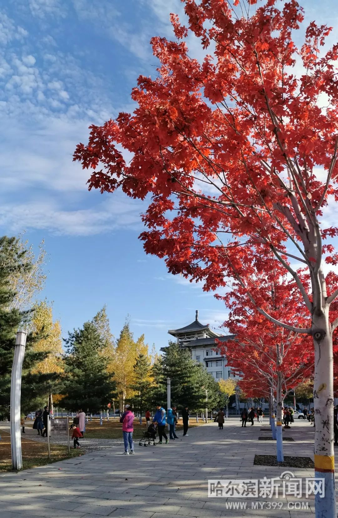 久久九九精品视频