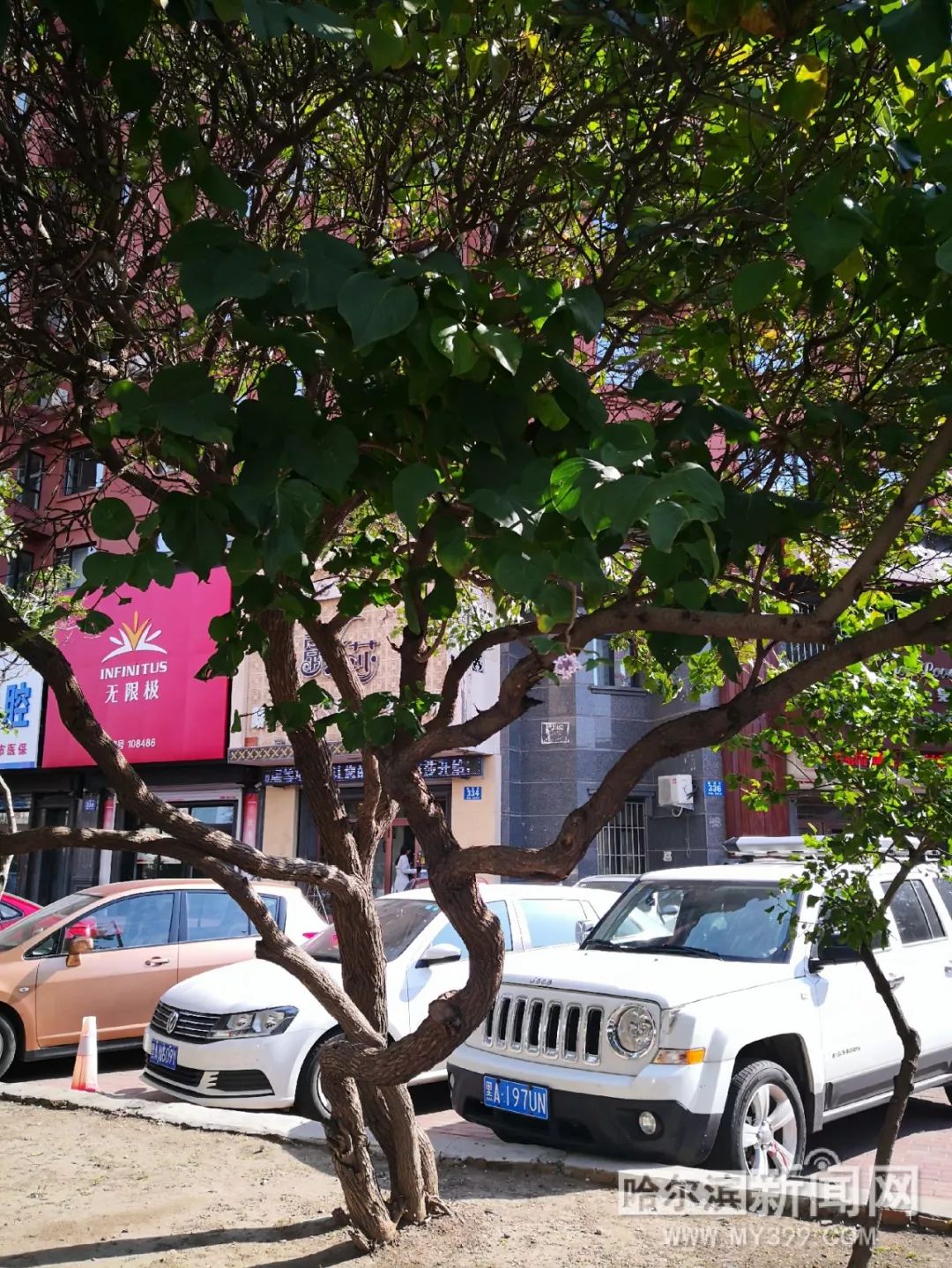 麻豆国风传媒 可能影响部分观众的观看耐心