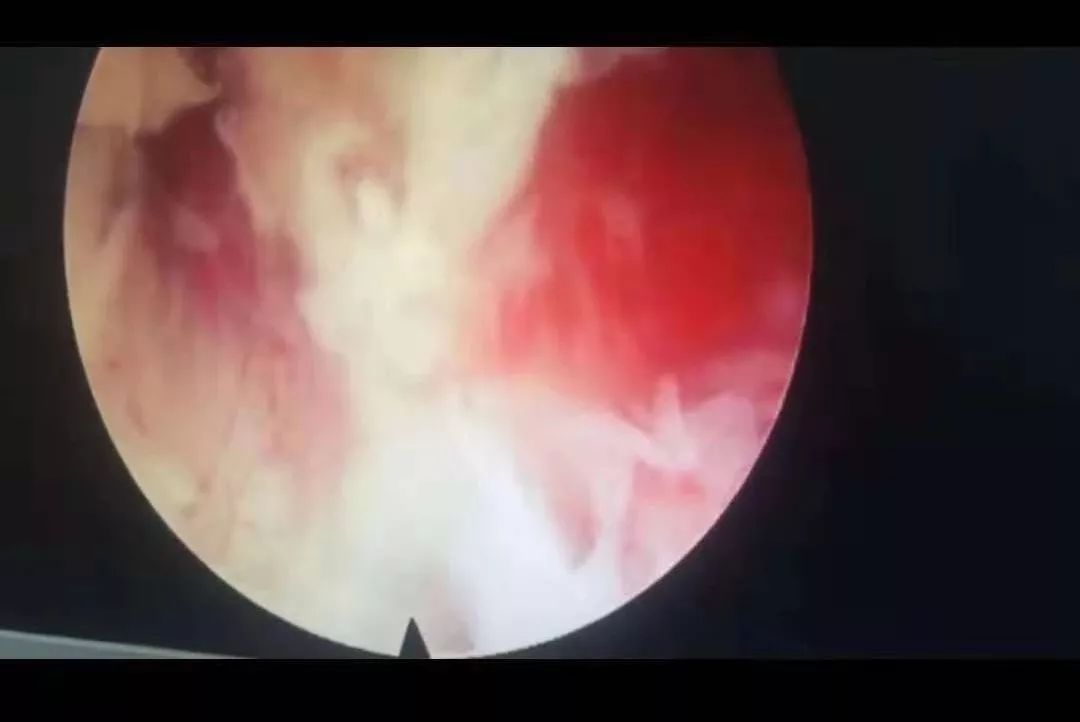 吃瓜黑料大学生91